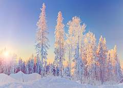 От -5°С до +7°С по стране. Какие колебания температуры ждут белорусов 9 января