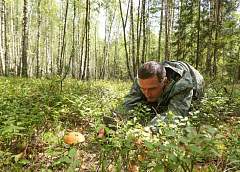 Как не заблудиться в лесу и что делать, если все же потерялся 