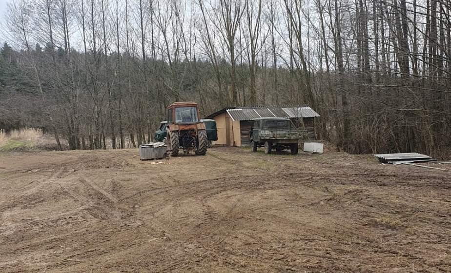 В Гродненском районе мужчина незаконно вырубал деревья