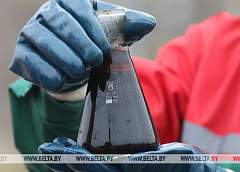 Чистая нефть поступила по "Дружбе" на границу Беларуси